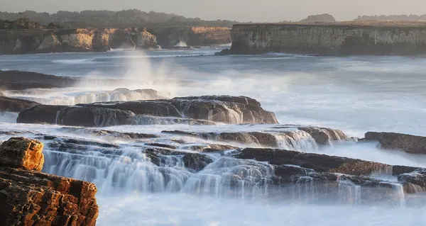 -conservationlands15 Social Media Takeover, August 15th, Bucket List - California, California Coastal National Monument, Point Arena-Stornetta Unit (20402353208)